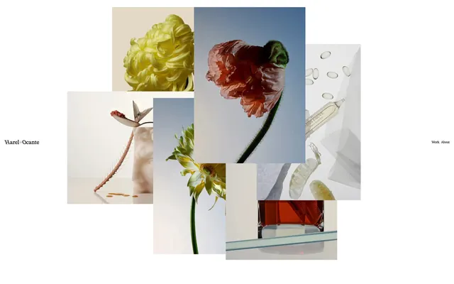 Floral Still Life Composition, minimal, organic, muted