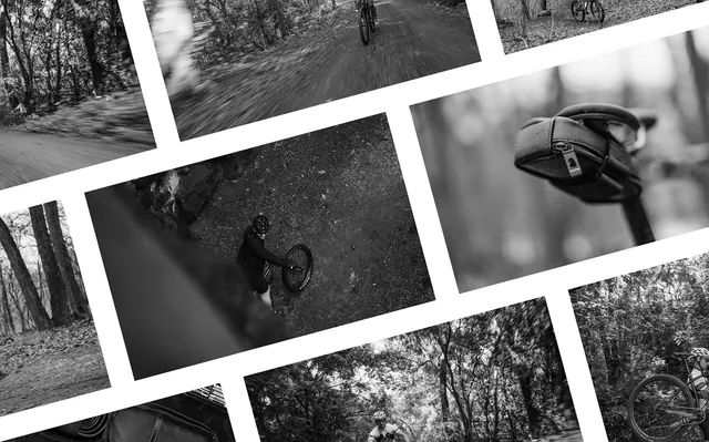 Monochrome Nature Collage, minimal, monochrome, monochrome