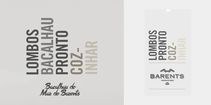 Barents Typography Specimen, minimal, swiss, monochrome