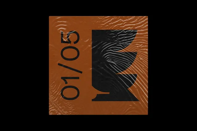 01/05 Graphic Identity, brutalist, organic, warm