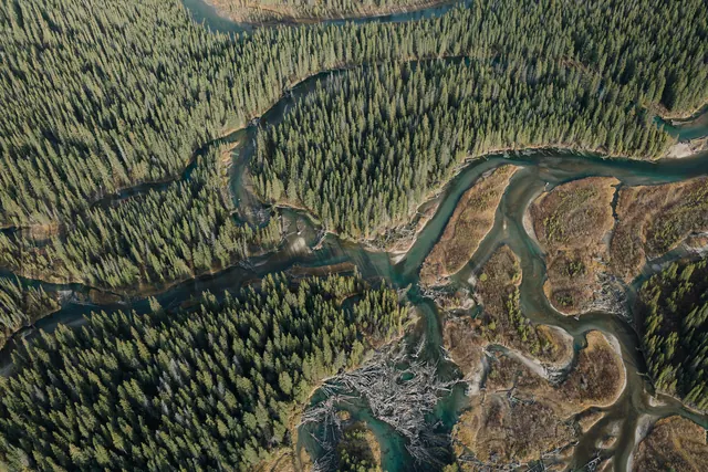 Aerial Forest and River Landscape, photographic, organic, earthy