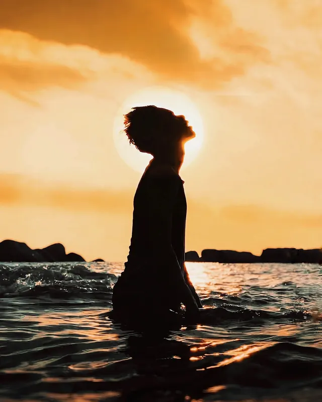 Silhouette at Sunset, photographic, minimal, warm
