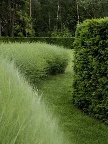 Garden Path Landscape, organic, photographic, vibrant
