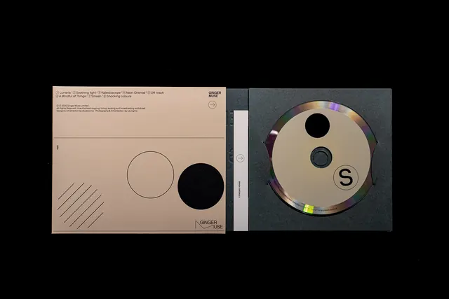 Minimalist Geometric Identity, minimal, swiss, light