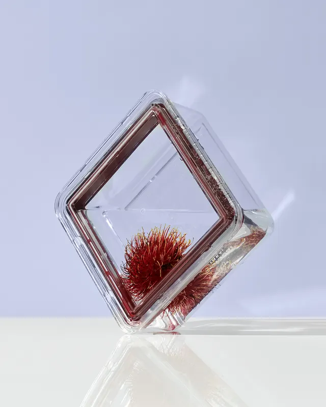 Diamond-shaped glass vessel with botanical element, minimal, luxury, light
