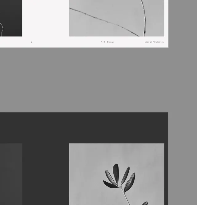 Minimalist Botanical Line Art, minimal, line-art, monochrome