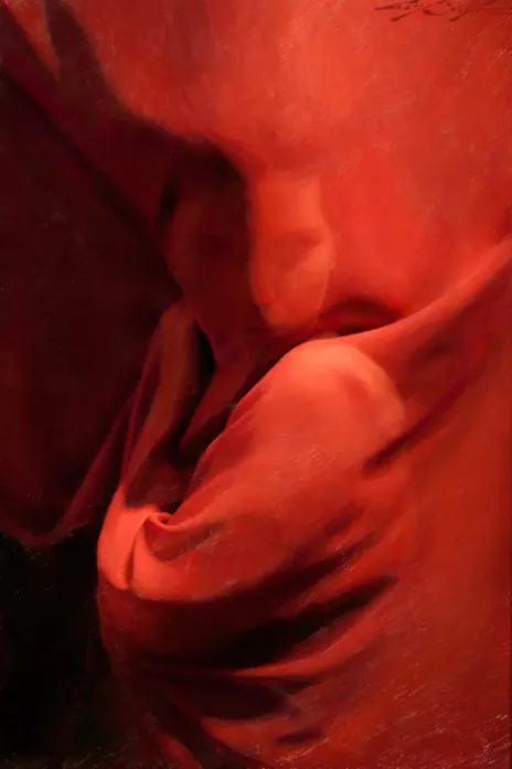 Red Fabric Texture, organic, photographic, warm