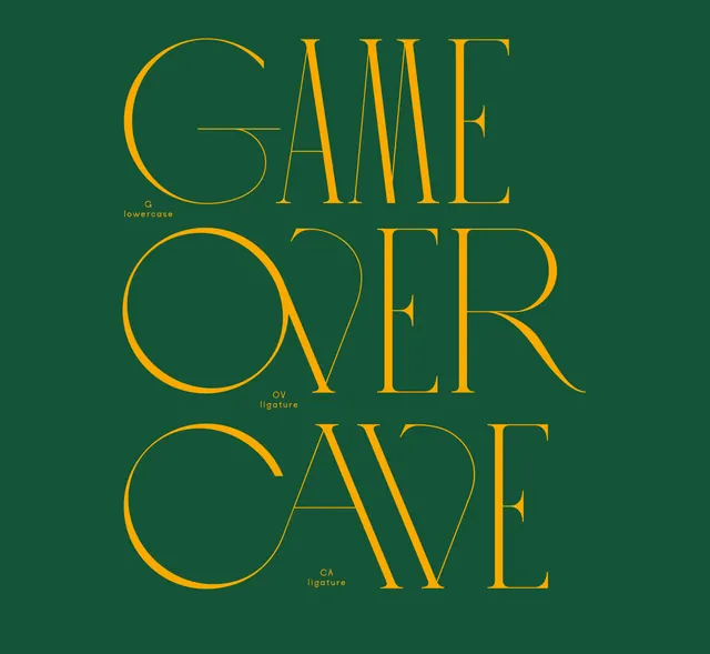 Serif typeface specimen with diacritical notes, display, editorial, dark