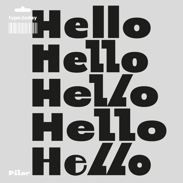 Sasha Studio typography project, editorial, typography-focused, monochrome