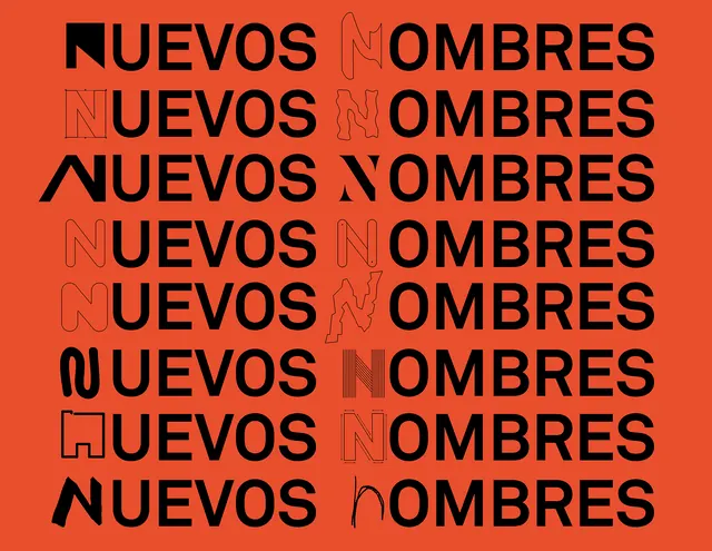 Type specimen with overlaid outline letters on coral background, editorial, bold, vibrant