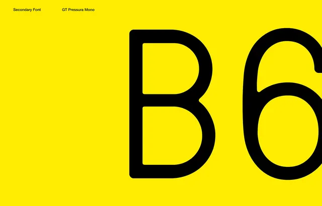 B6 type specimen yellow and black, minimal, technical, vibrant