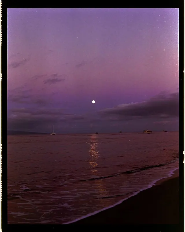 Contemporary Architectural Landscape, photographic, technical, cool