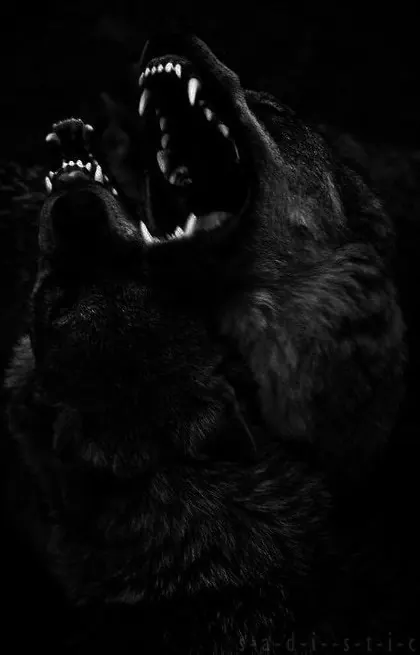 Design Composition, minimal, dark-mode, dark