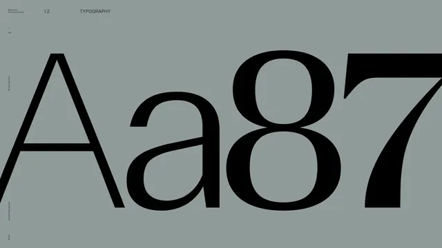Type Specimen Display