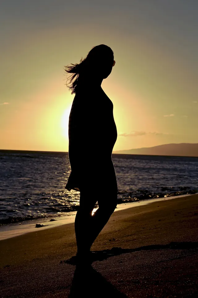Silhouette at Sunset, photographic, minimal, warm
