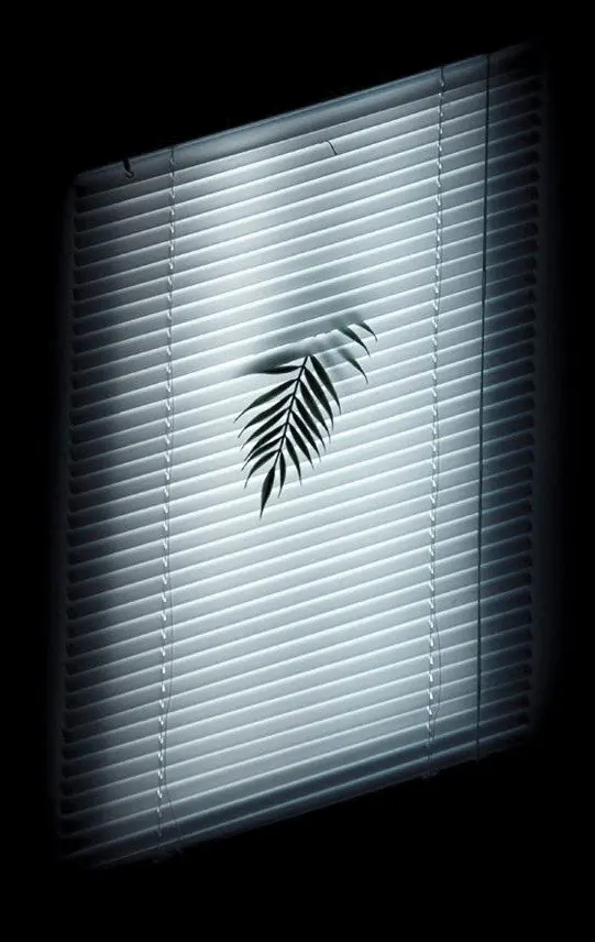 Palm Leaf Neon Sign, minimal, dark-mode, monochrome