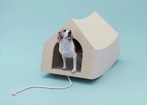 Dog in House 3D Render
