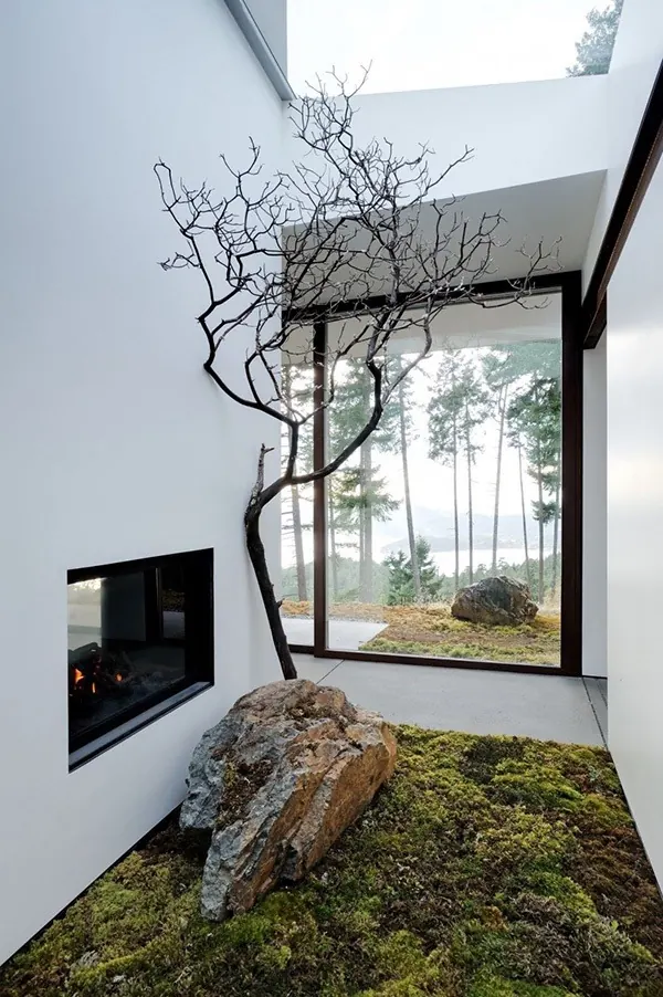 Zen Interior Garden, minimal, organic, light