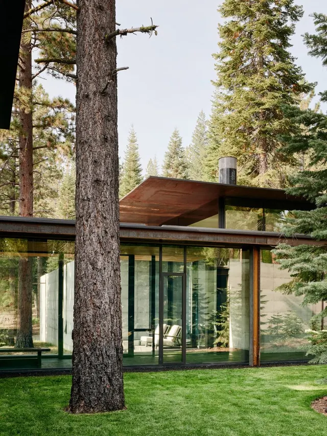 Modernist Glass House in Forest, minimal, organic, earthy