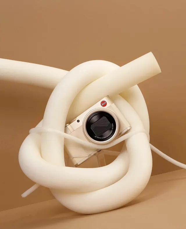 Abstract 3D Sculpture with Camera, organic, minimal, warm