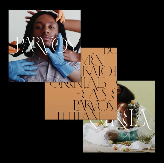 Parvos Brand Identity Collage, editorial, abstract, dark