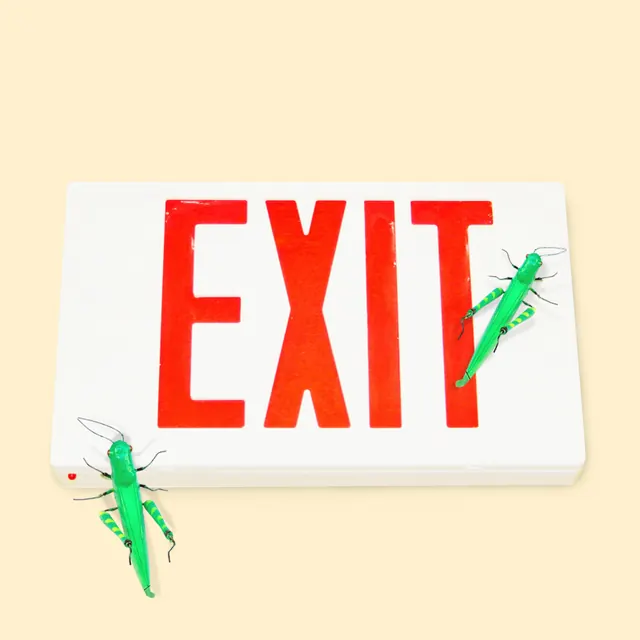 EXIT sign with grasshopper illustration, illustrated, playful, light