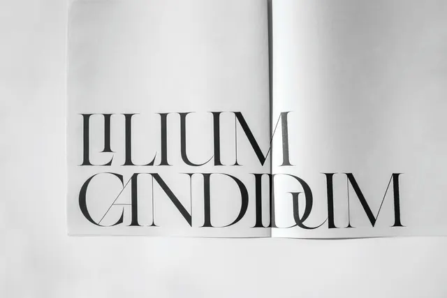 ILLUM CANDIUM serif typography book cover, editorial, minimal, light