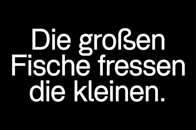 German typography poster with serif headline, minimalist, editorial, monochrome