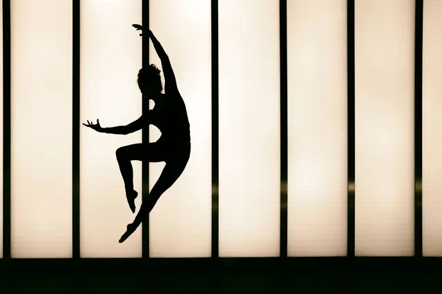 Silhouette dancer suspended from pole against geometric backdrop, minimal, geometric, monochrome