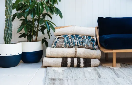 Interior Living Space with Textural Textiles, organic, photographic, muted