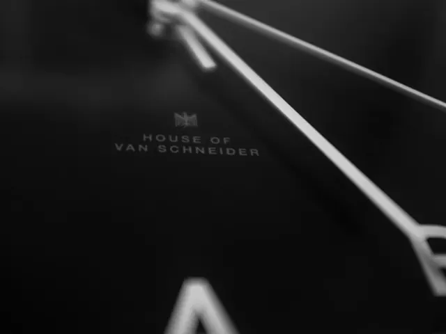 House of Van Schneider Branding, minimal, luxury, monochrome