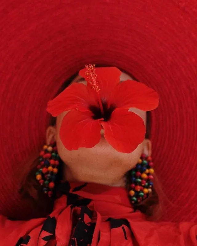 Red Floral Portrait, maximalist, organic, vibrant