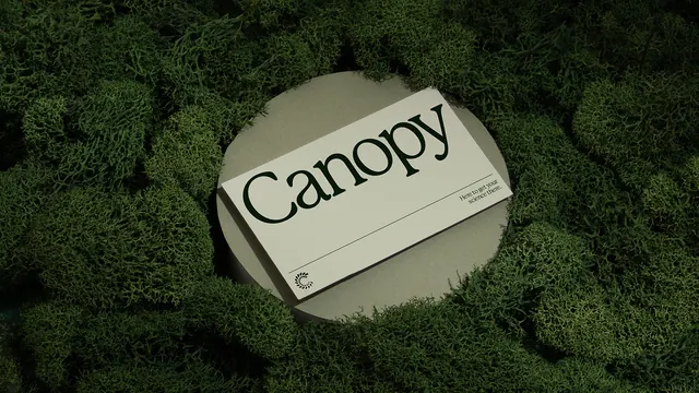 Canopy packaging brand identity, minimal, swiss, muted