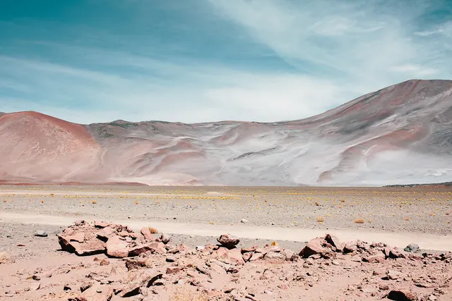 Visual reference — wLgFLHz, photographic, vibrant