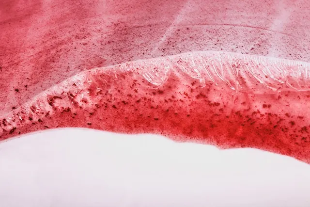 Rose and Crimson Abstract Composition, abstract, graphic, warm