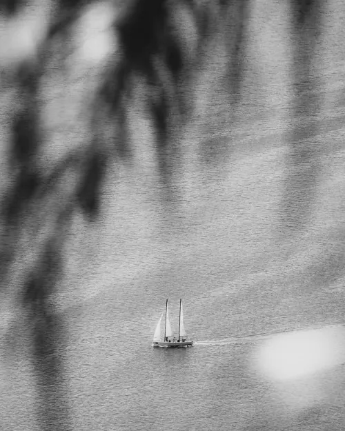 Monochrome grayscale tonal study, minimal, monochrome, monochrome