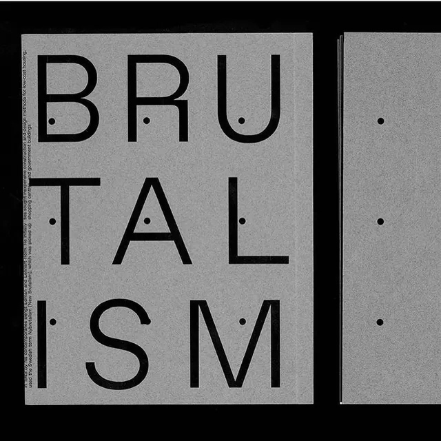 High-contrast grayscale composition, minimalist, monochrome, monochrome