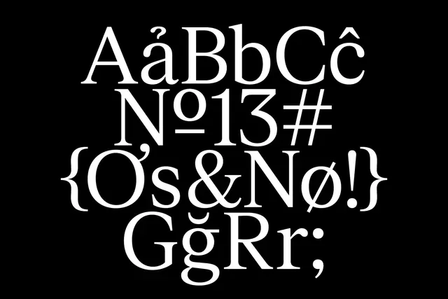 Serif typeface specimen display, editorial, monochrome, monochrome