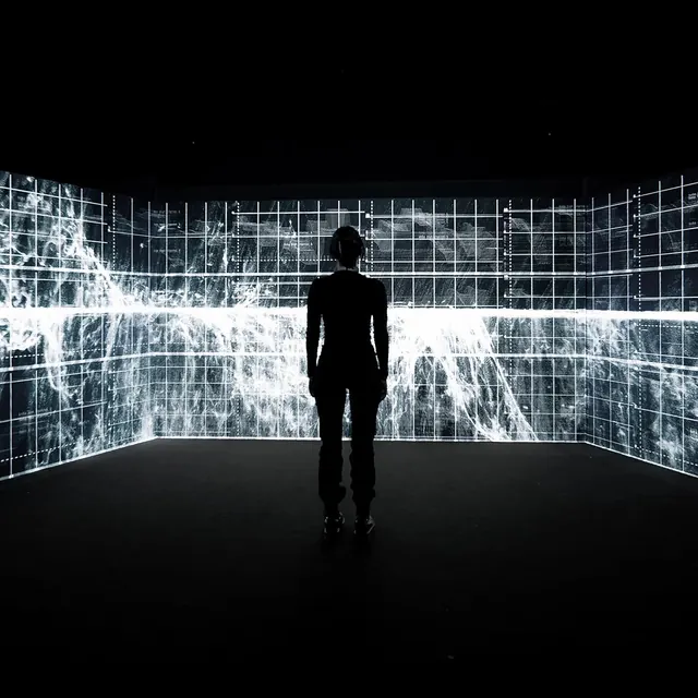 Silhouette figure in data visualization environment, technical, data-dense, dark