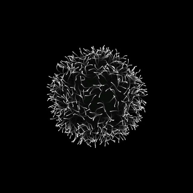 Organic spiky circular monochrome form, abstract, organic, dark