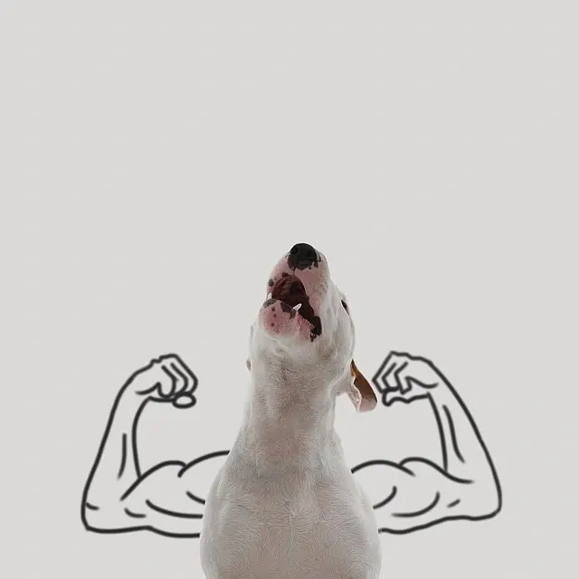 Dog with illustrated strength pose, playful, illustrated, light
