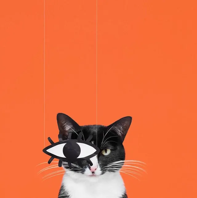 Surreal Cat Illustration