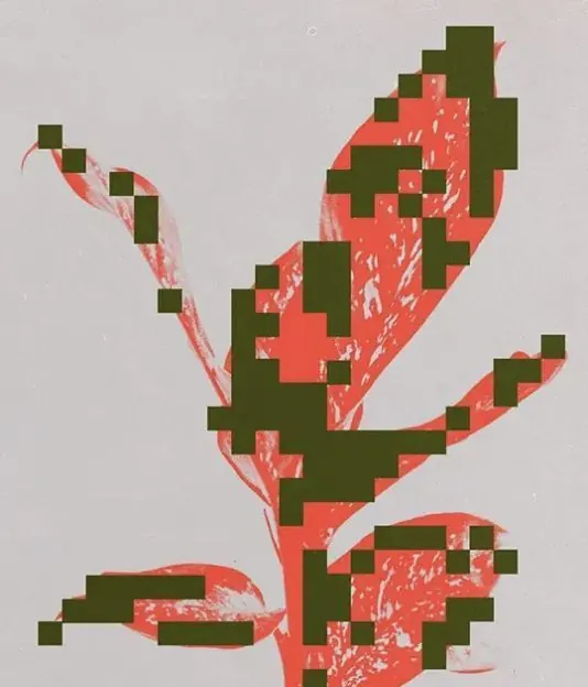 Abstract organic illustration, abstract, organic, warm
