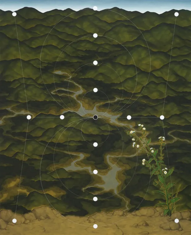 Topographic Landscape Illustration, organic, abstract, dark