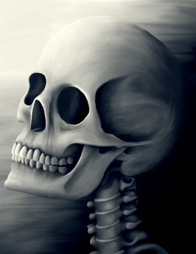Digital painting skull study, illustrated, monochrome, monochrome