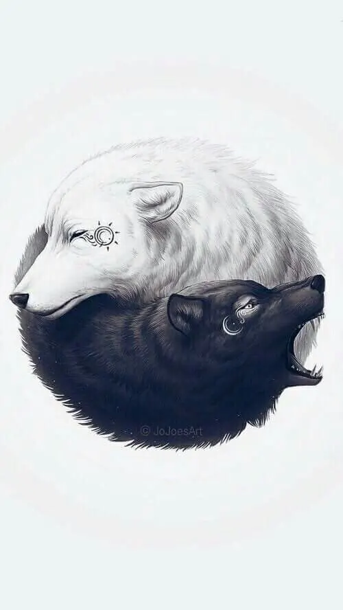 Split Animal Illustration