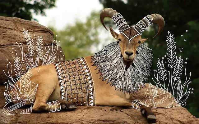 Stylized Animal Illustration