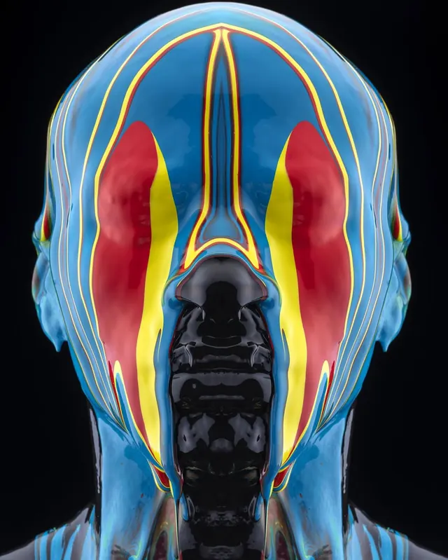 Anatomical Muscle and Nerve Map