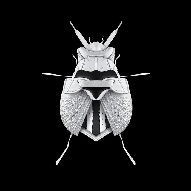 Stylized Beetle Illustration