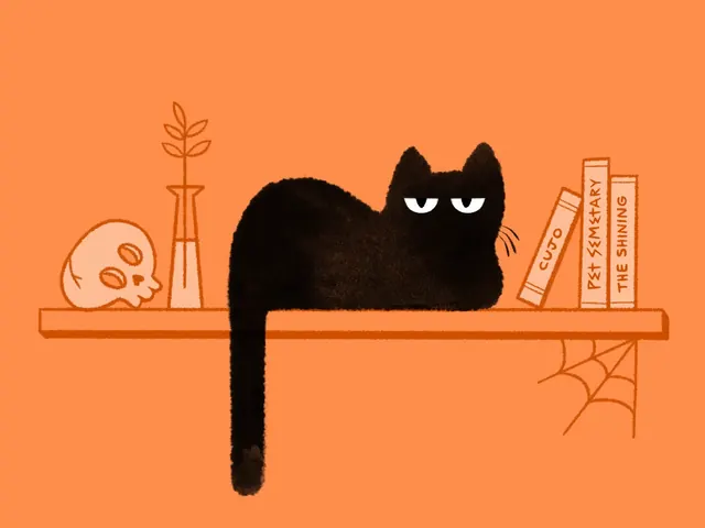 Minimal playful illustration, minimal, playful, warm